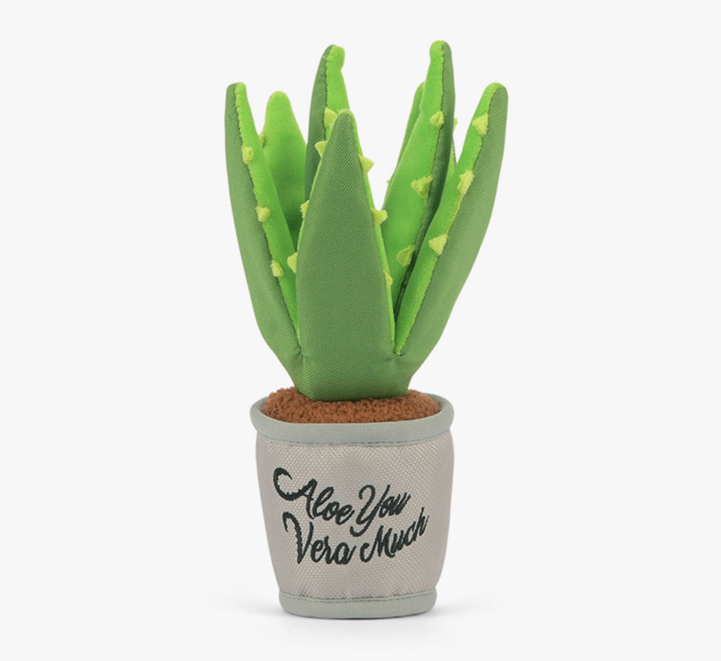 Aloe You Vera Much: Aloe Plant Australian Kelpie Toy - front view