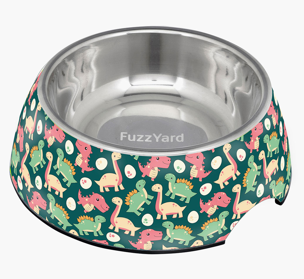 Dinosaur Land Easy Feeder Aussiedoodle Bowl - view of the bowl