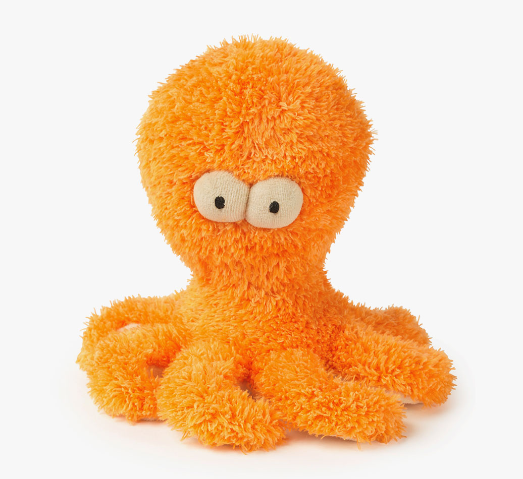Sir Legs-A-Lot Octopus: Petit Basset Griffon Vendeen Plush Toy - Front view