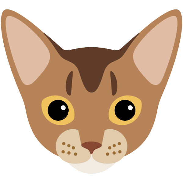 Abyssinian Icon