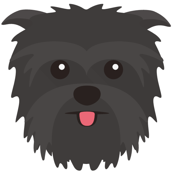 Icon for Affenpinscher