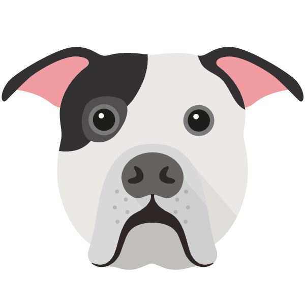 american bulldog cartoon