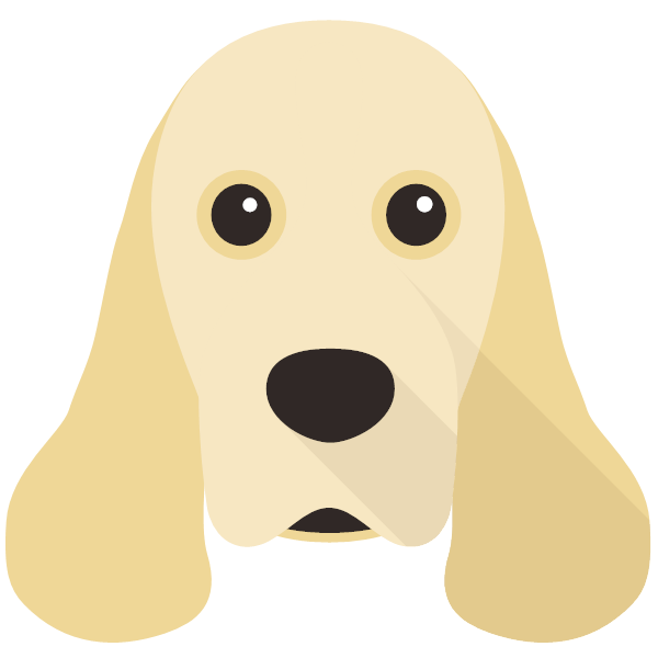 American Cocker Spaniel Icon