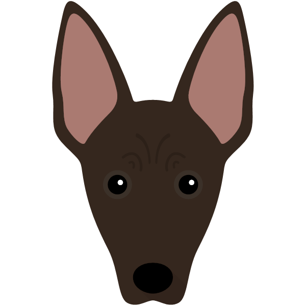 American Hairless Terrier Icon