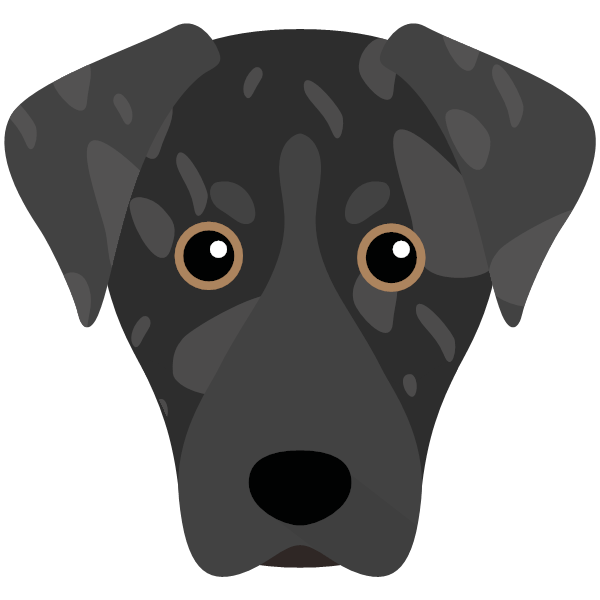 American Leopard Hound Icon