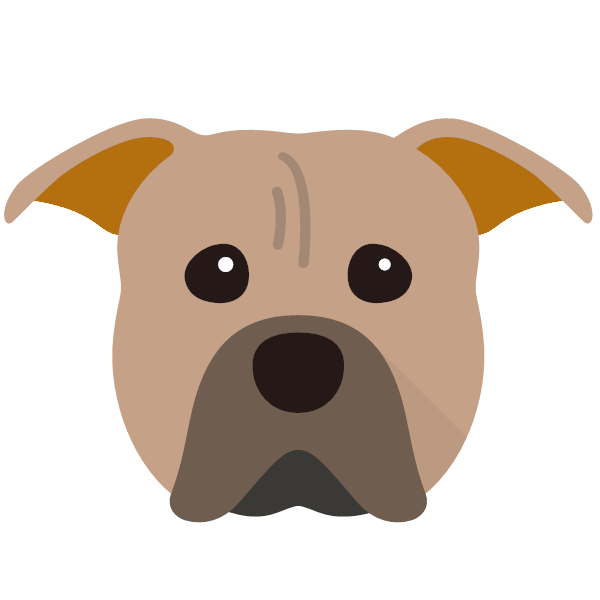 American Pit Bull Terrier Icon