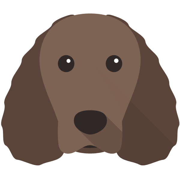 American Water Spaniel Icon