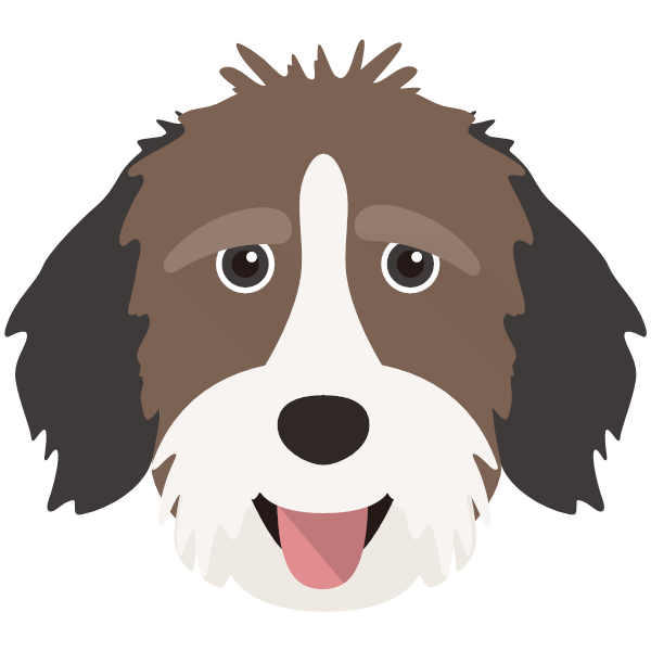 Aussiedoodle Icon