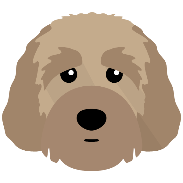 Australian Labradoodle Icon