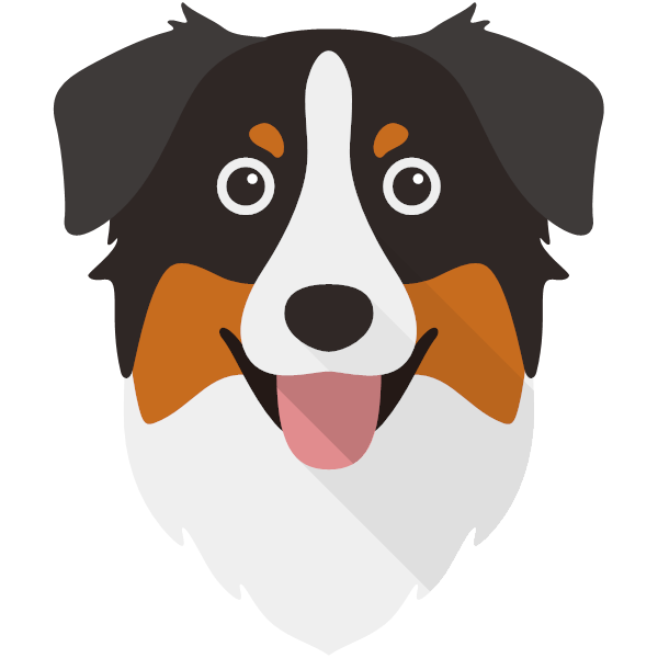 Australian Shepherd Icon