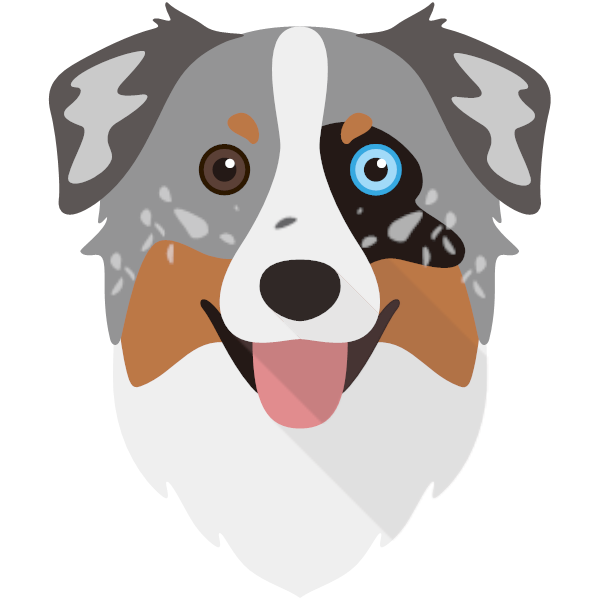 Koda icon