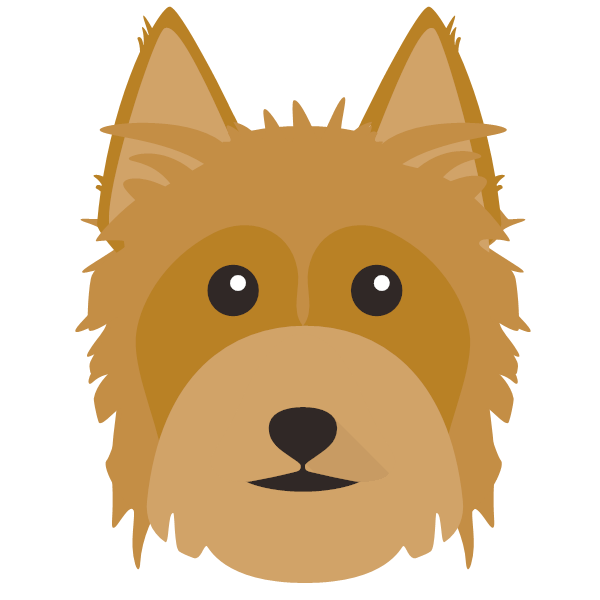 Australian Silky Terrier Icon