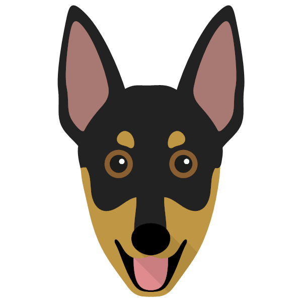 Australian Working Kelpie icon