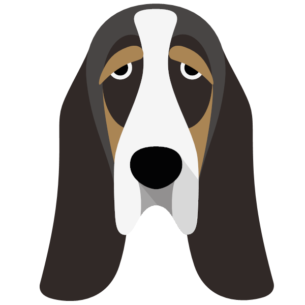 Nodding sales basset hound