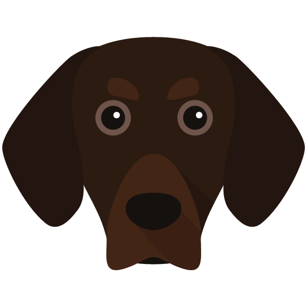 Bavarian Mountain Hound Icon