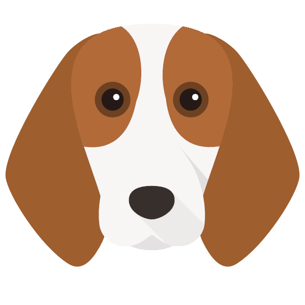 bongo icon