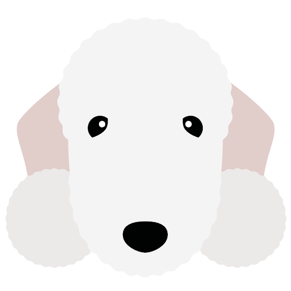 Bedlington Terrier icon