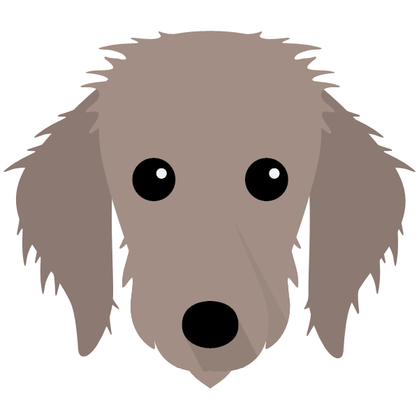 Bedlington Whippet Icon