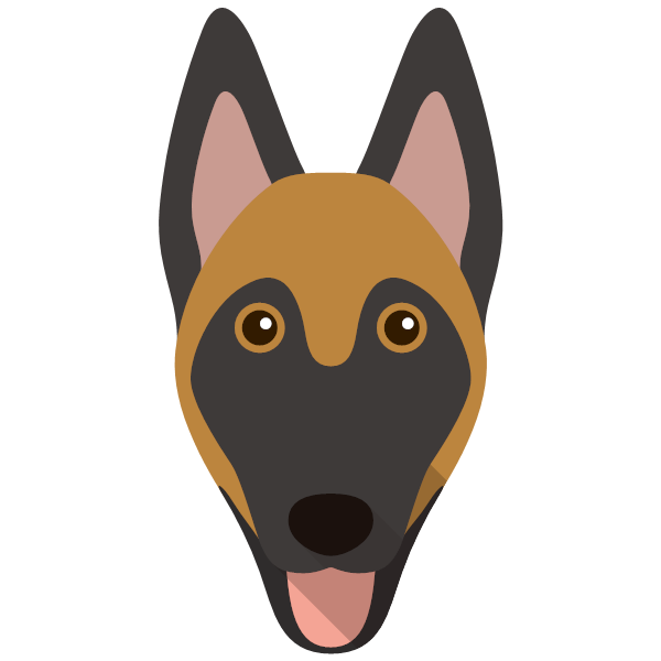 Belgian Malinois icon