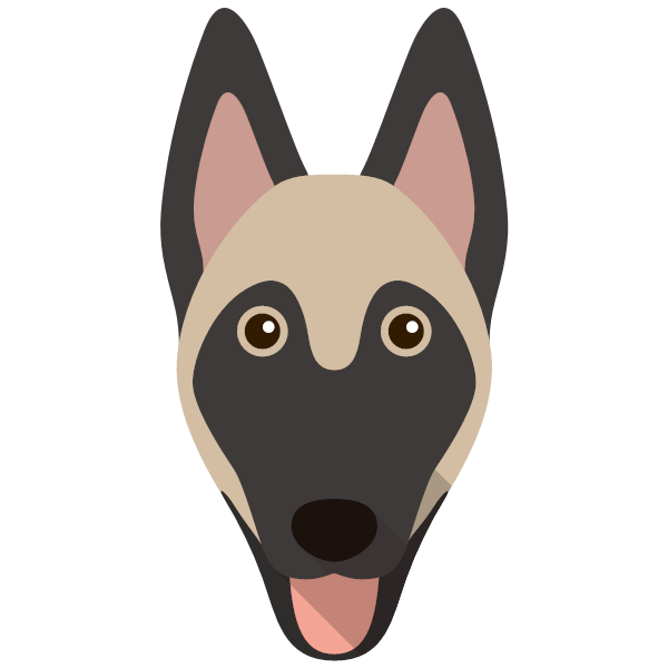 Belgian malinois clearance store