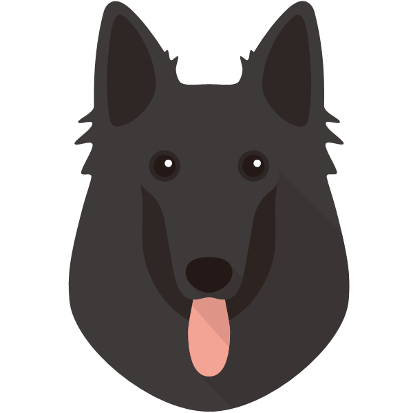 Belgian Shepherd icon