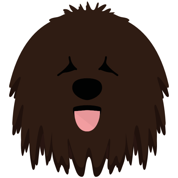 Bergamasco Icon