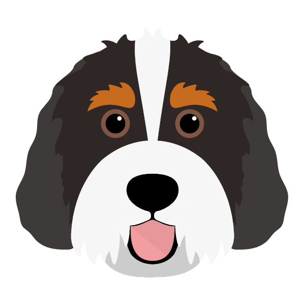 Bernedoodle Icon