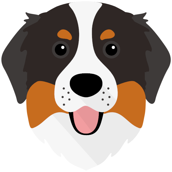 Bernese Mountain Dog Icon