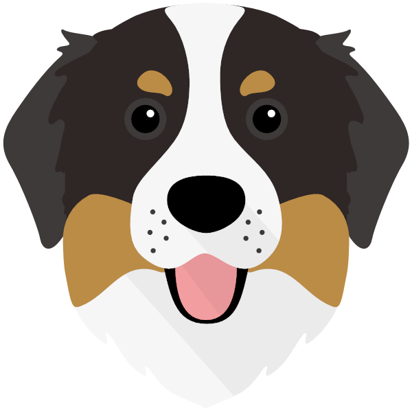 Rufus icon