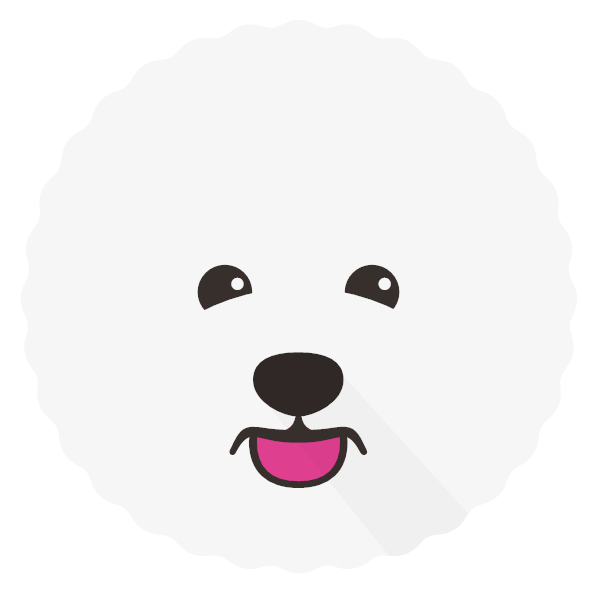 Bichon Frise Icon