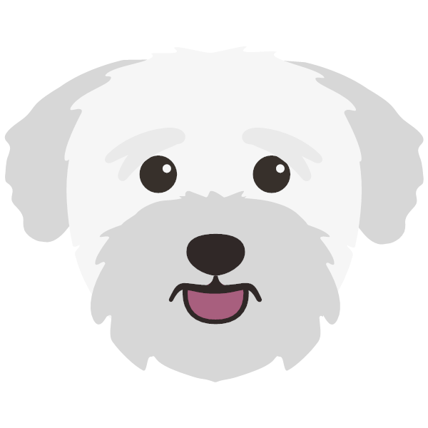 Teddy icon