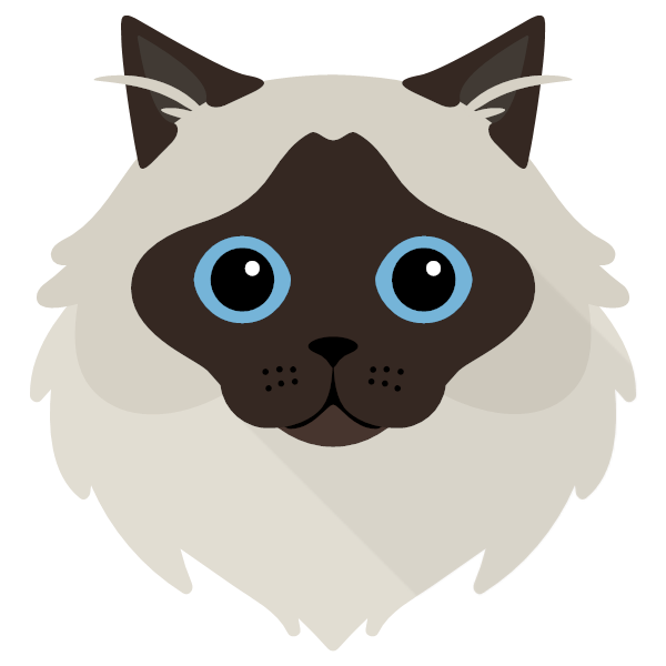 Birman Icon