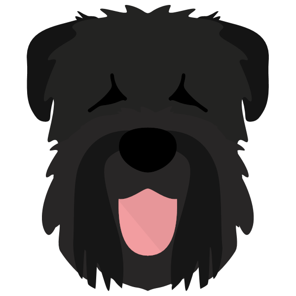 Black Russian Terrier Icon