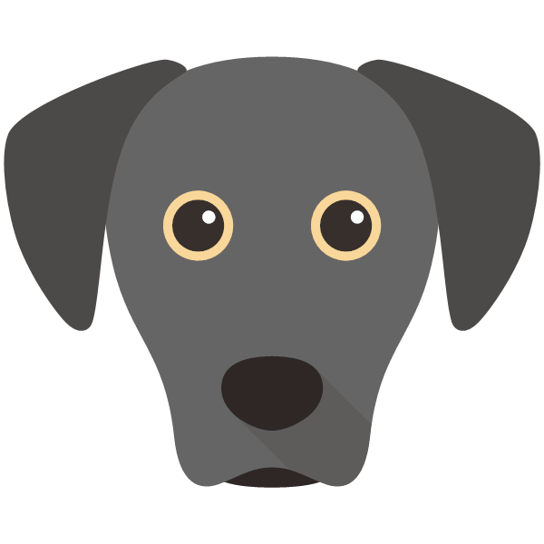 Blue Lacy Icon