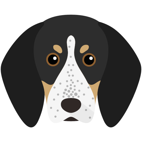 Famous store bluetick coonhounds