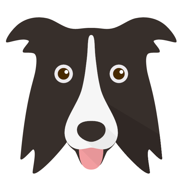 Border Collie Icon