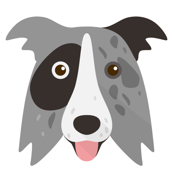 Personalised Border Collie Shop Yappy