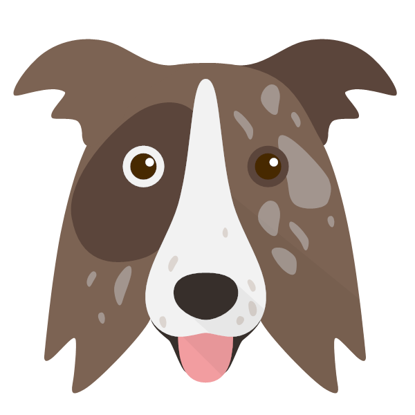 Border collie clearance gifts & products