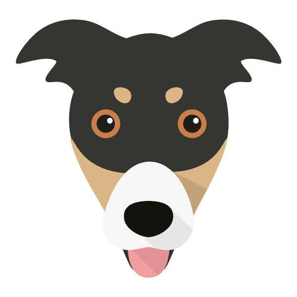 Rex icon