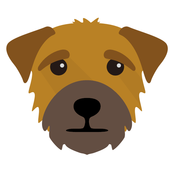 Dexter icon