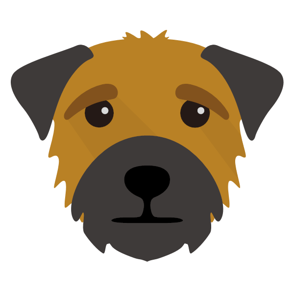 Simba icon