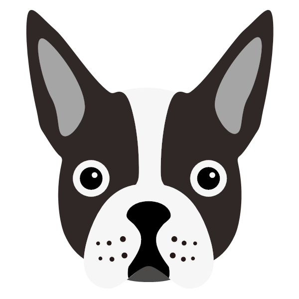 Boston Terrier Icon