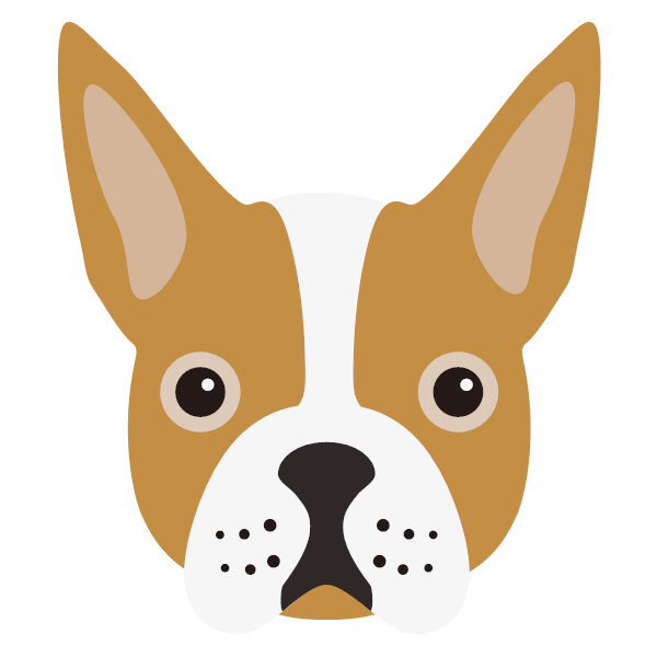 Boston terrier clearance shop