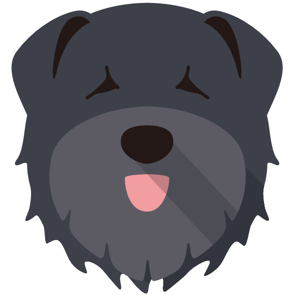 Yogi icon