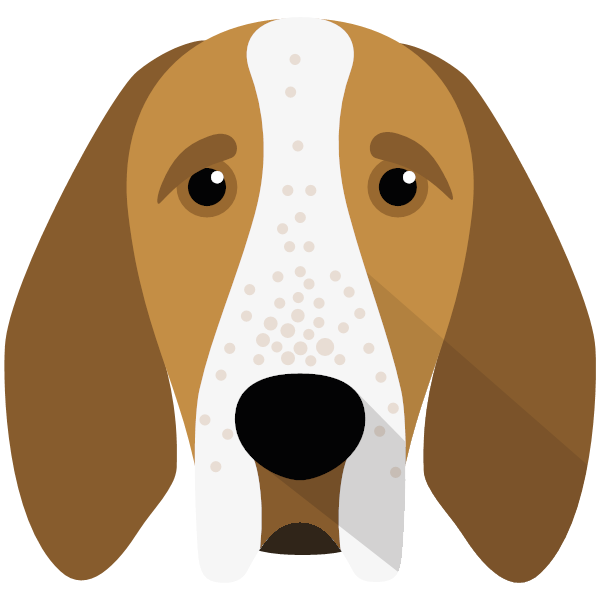 Bracco Italiano Icon