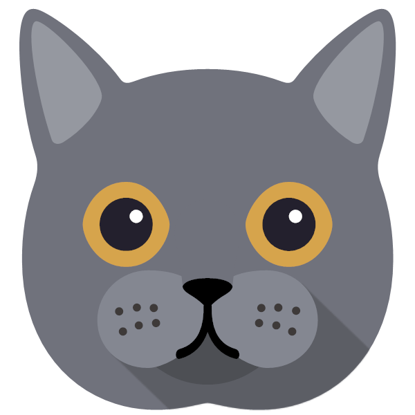 British Shorthair Icon