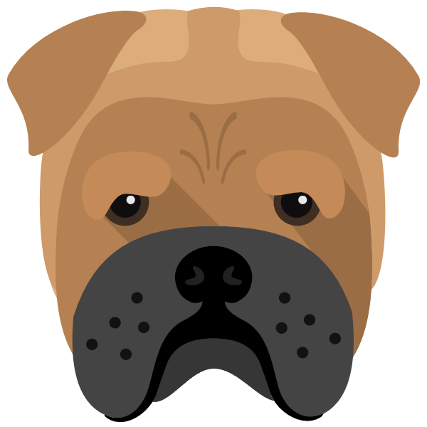 Bull Pei Icon