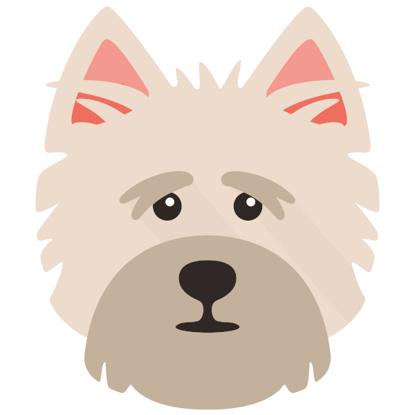 Cairn Terrier icon