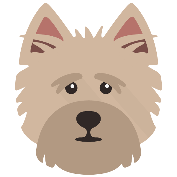 Cairn Terrier Icon