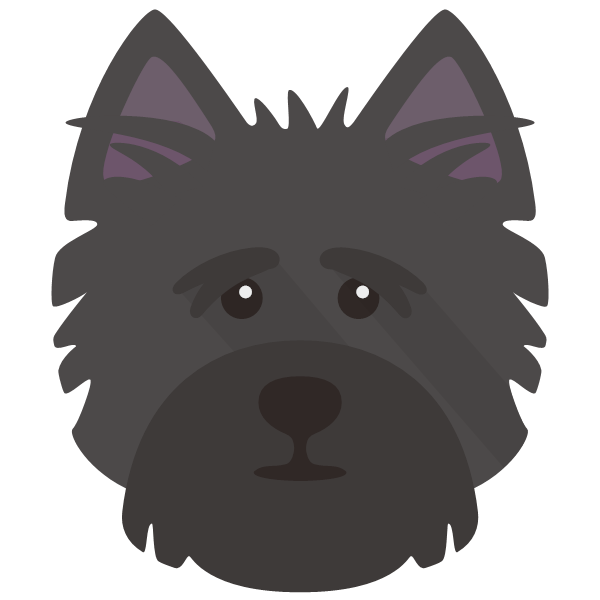 Rex icon